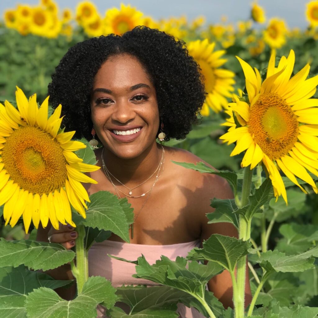 picture in sunflower field